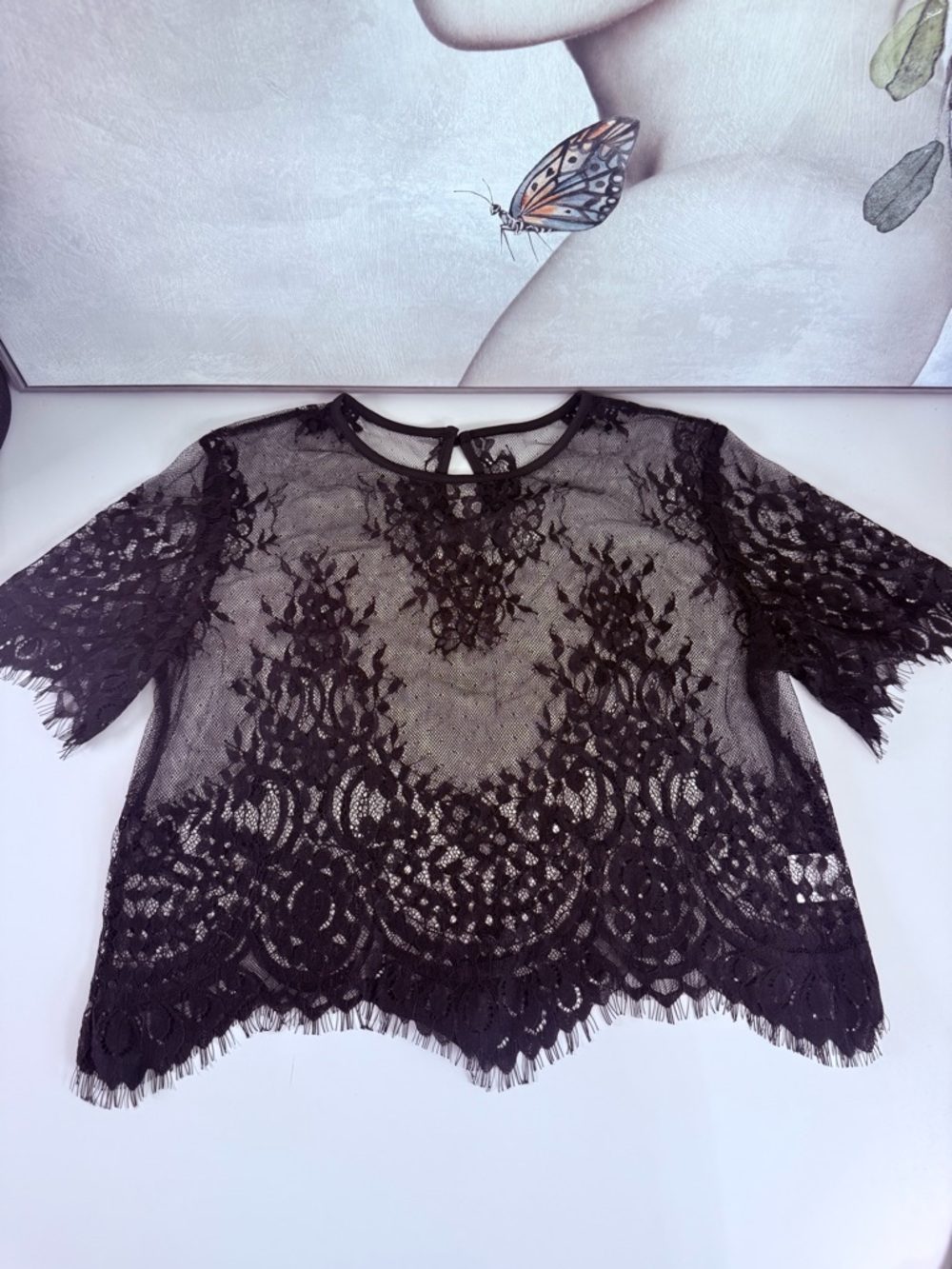 Sheer Black Lace Short-Sleeve Blouse